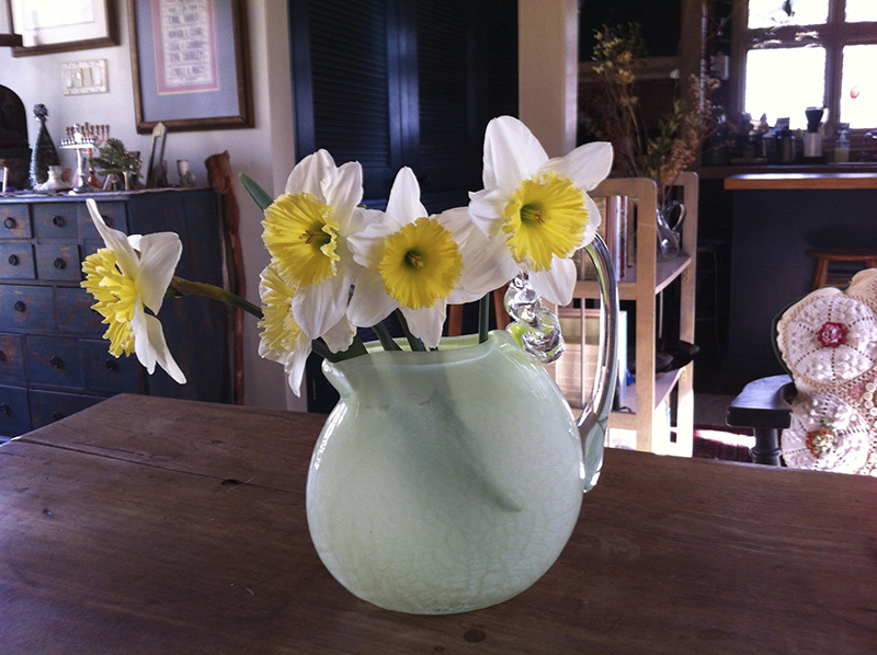 Daffodils in one of David's green flat vases.