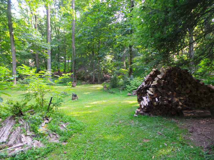 A picture of our side yard that I'm currently using on FutureTheater.