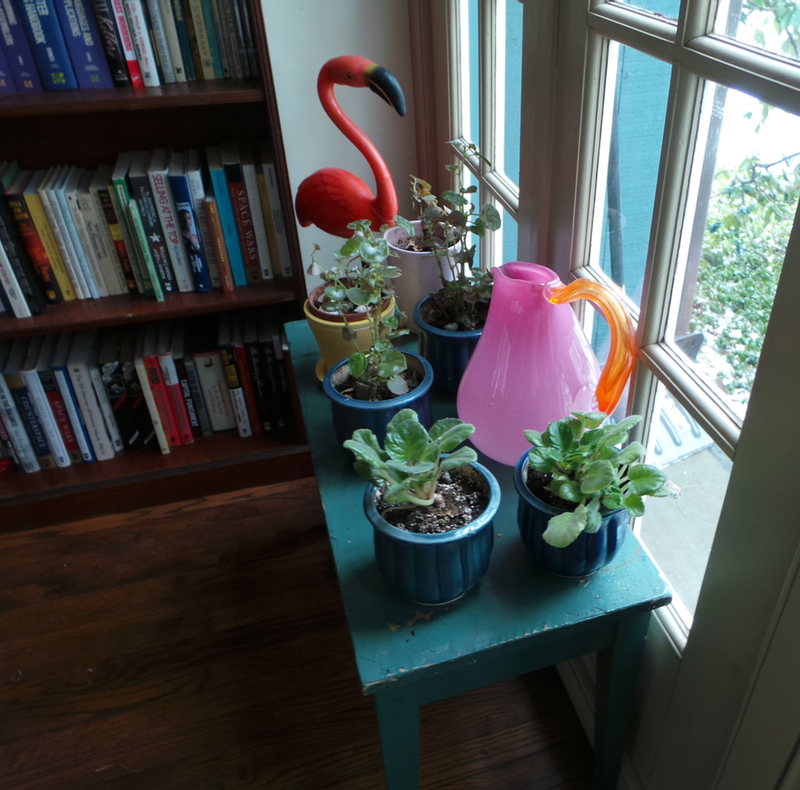 An arrangement of plants and one of David Duthie's pink pitchers with an orange handle.