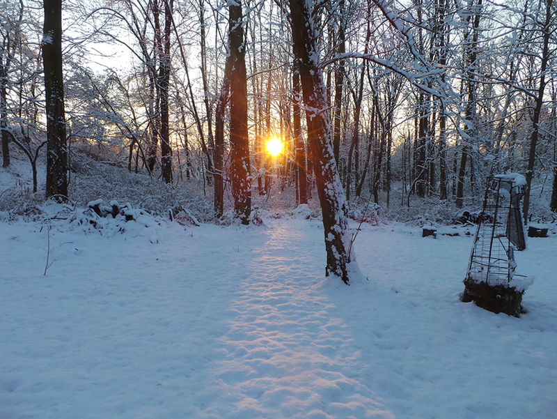 A low-flung sun on one of the last days of the year.