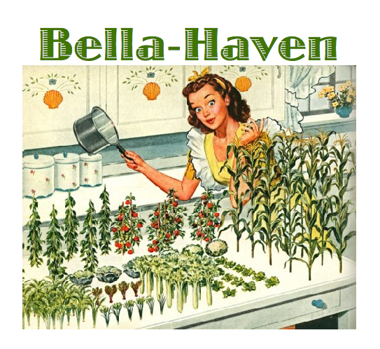 Newish but temporary logo for Bella-Haven.com. Newish but temporary logo for Bella-Haven.com.