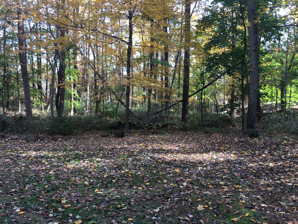 That certain slant of light.