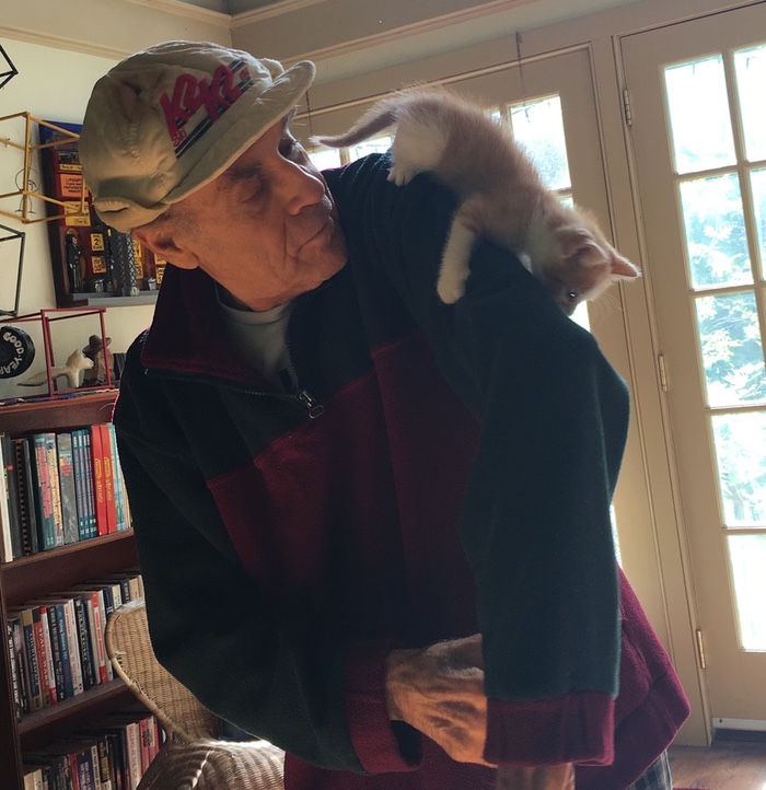 Our new kitty takes over.