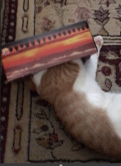 Another day; another box.