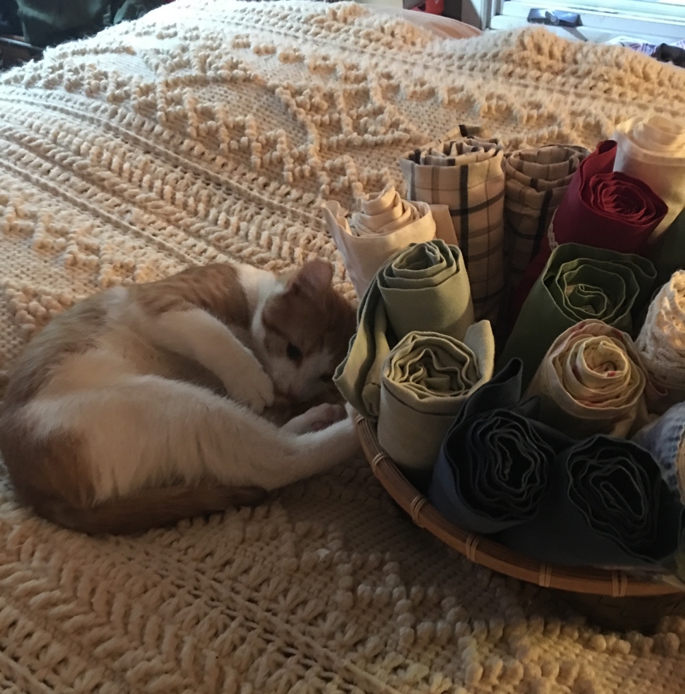 Harvey lounges by the pillowcases. Harvey lounges by the pillowcases.