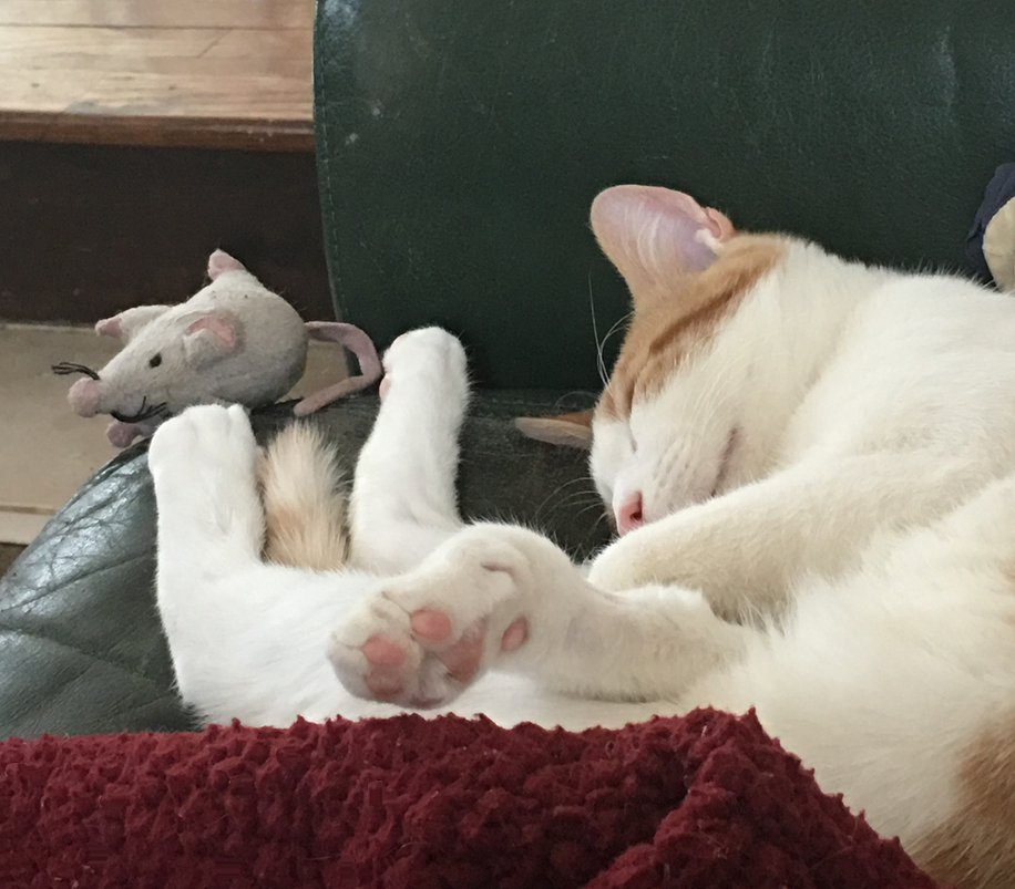 Sleeping is part of the job.