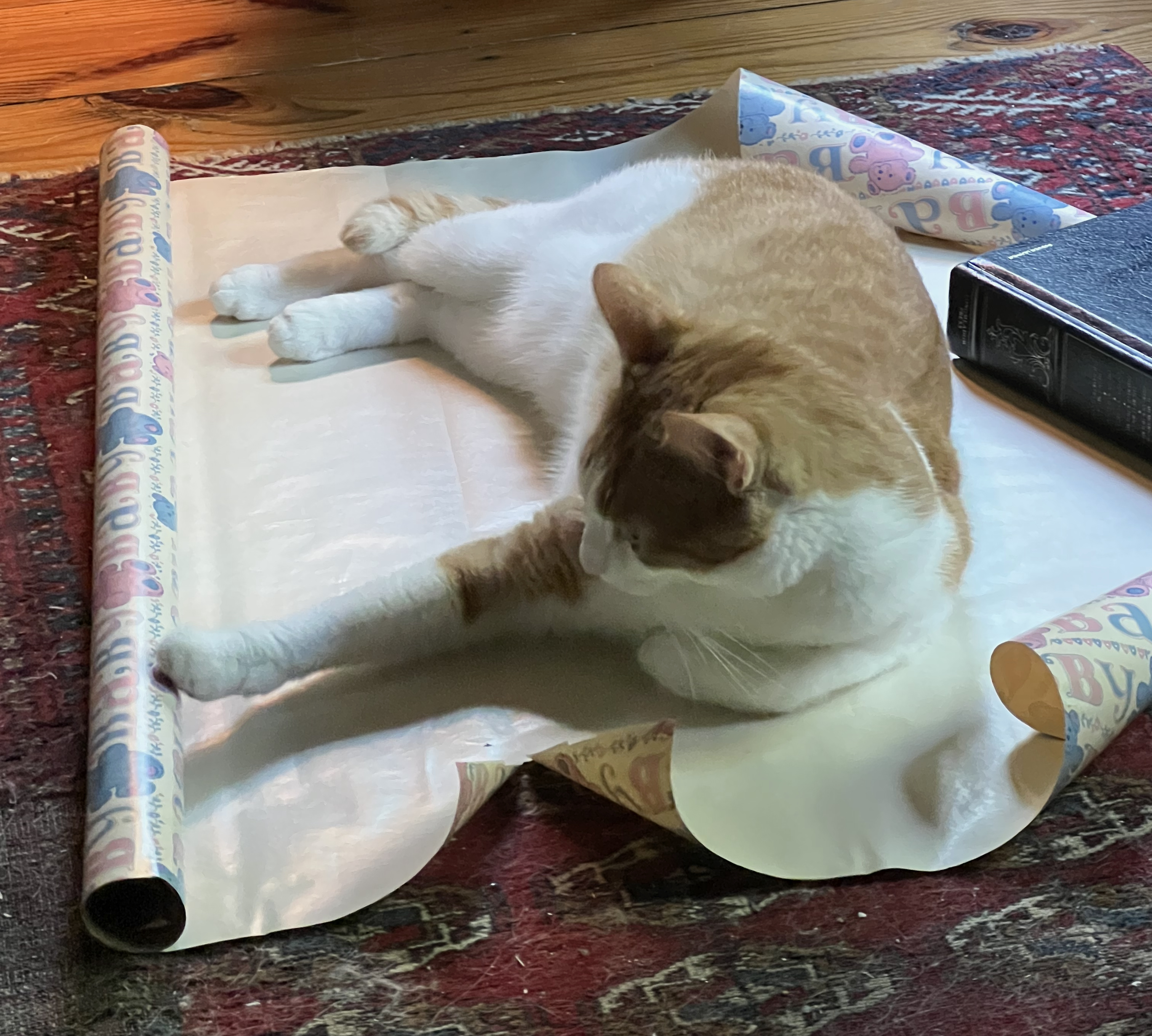 Equipoise, thy name is cat.